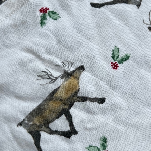 Burt's Bees 2 Piece Northern Reindeer Organic Cotton Pet Bandanas in Cardinal - Picture 4 of 7